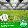 320W grow light led foldable grow light sunlight IP68 full spectrum led grow lights